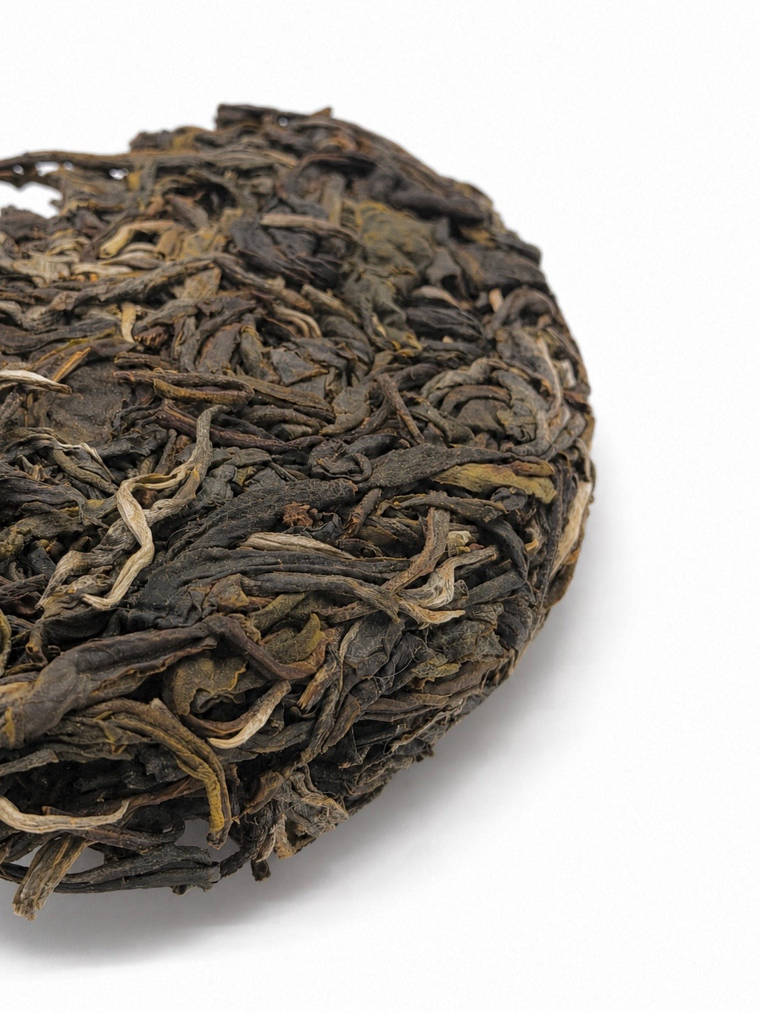 Raw Gushu Puerh Tủa Chùa, Spring 2026