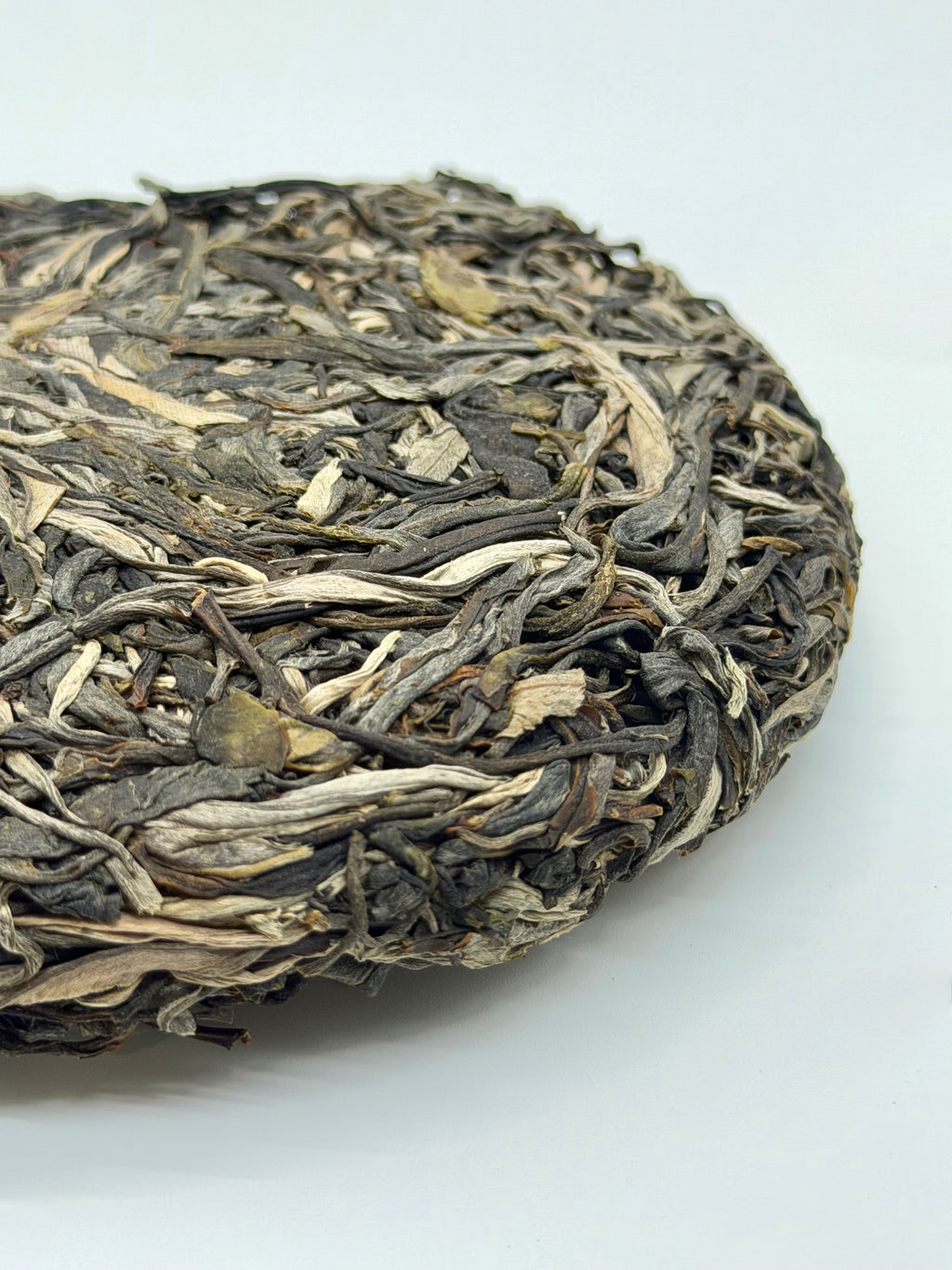 Raw Gushu Puerh Y Tý, Spring 2025