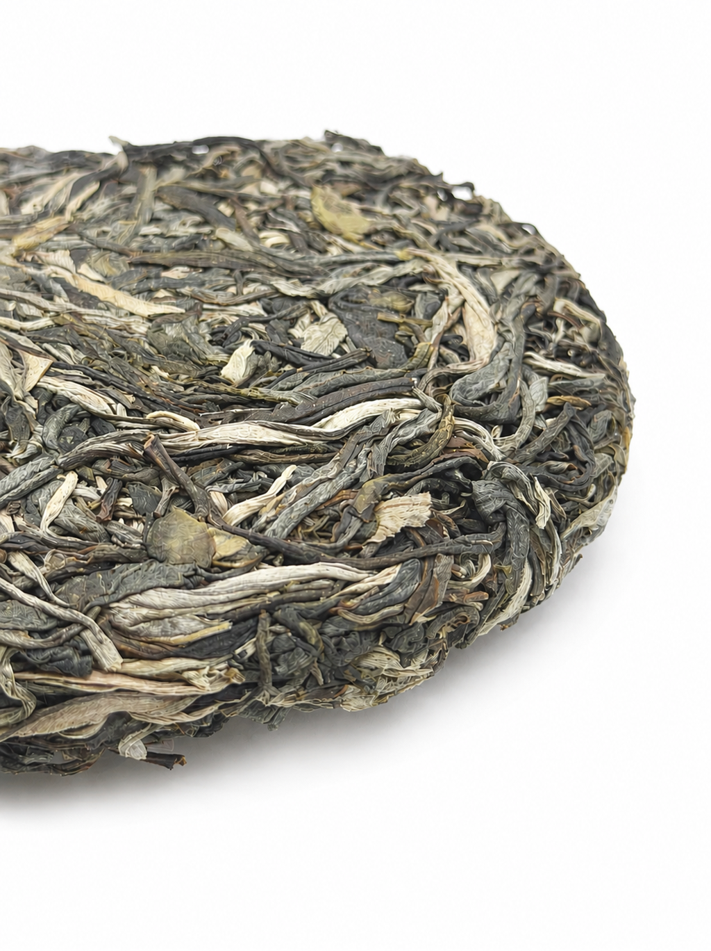 Raw Gushu Puerh Y Tý, Spring 2025