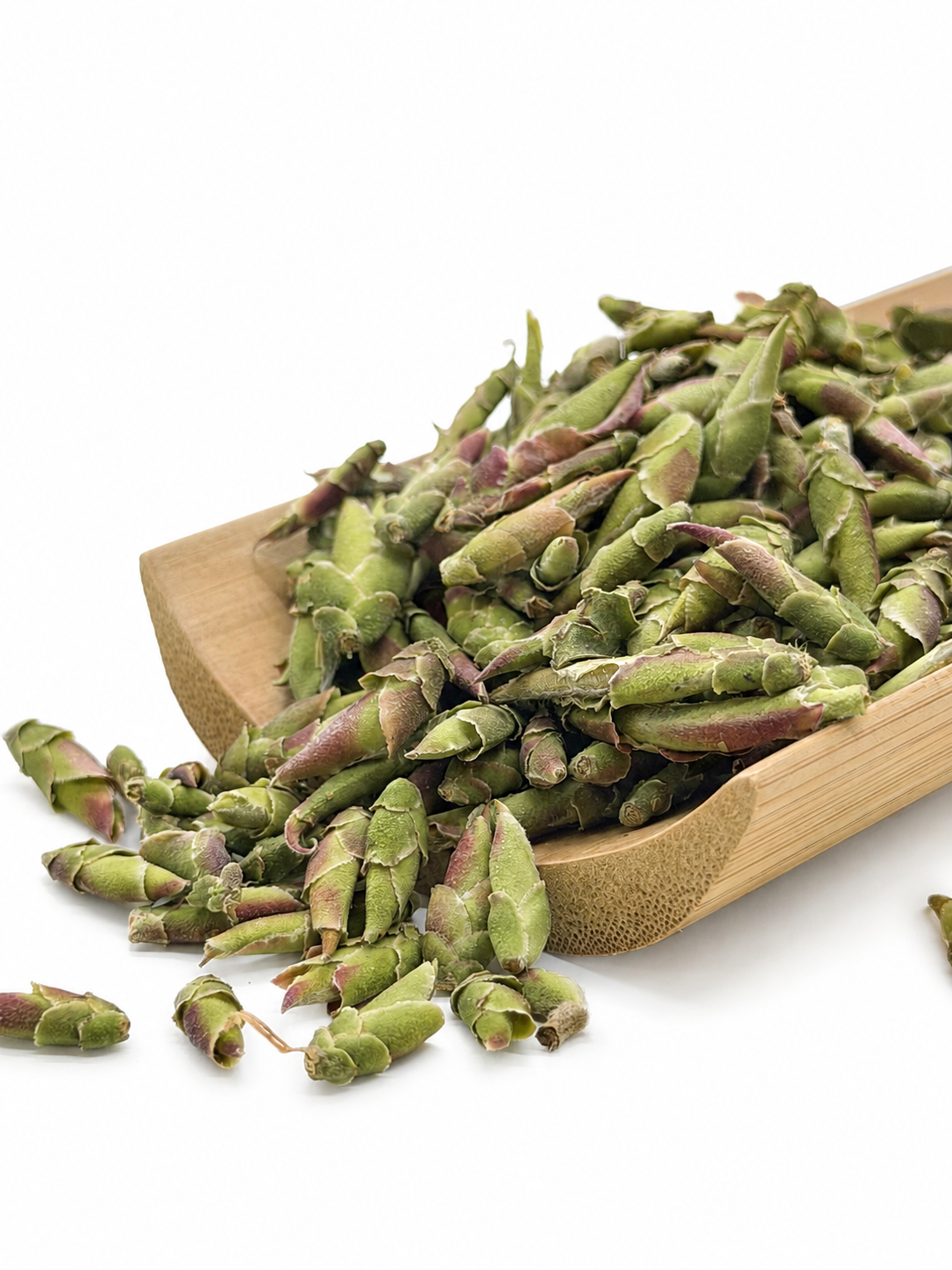 Dragon Claw Tea, Hà Giang, Winter 2026