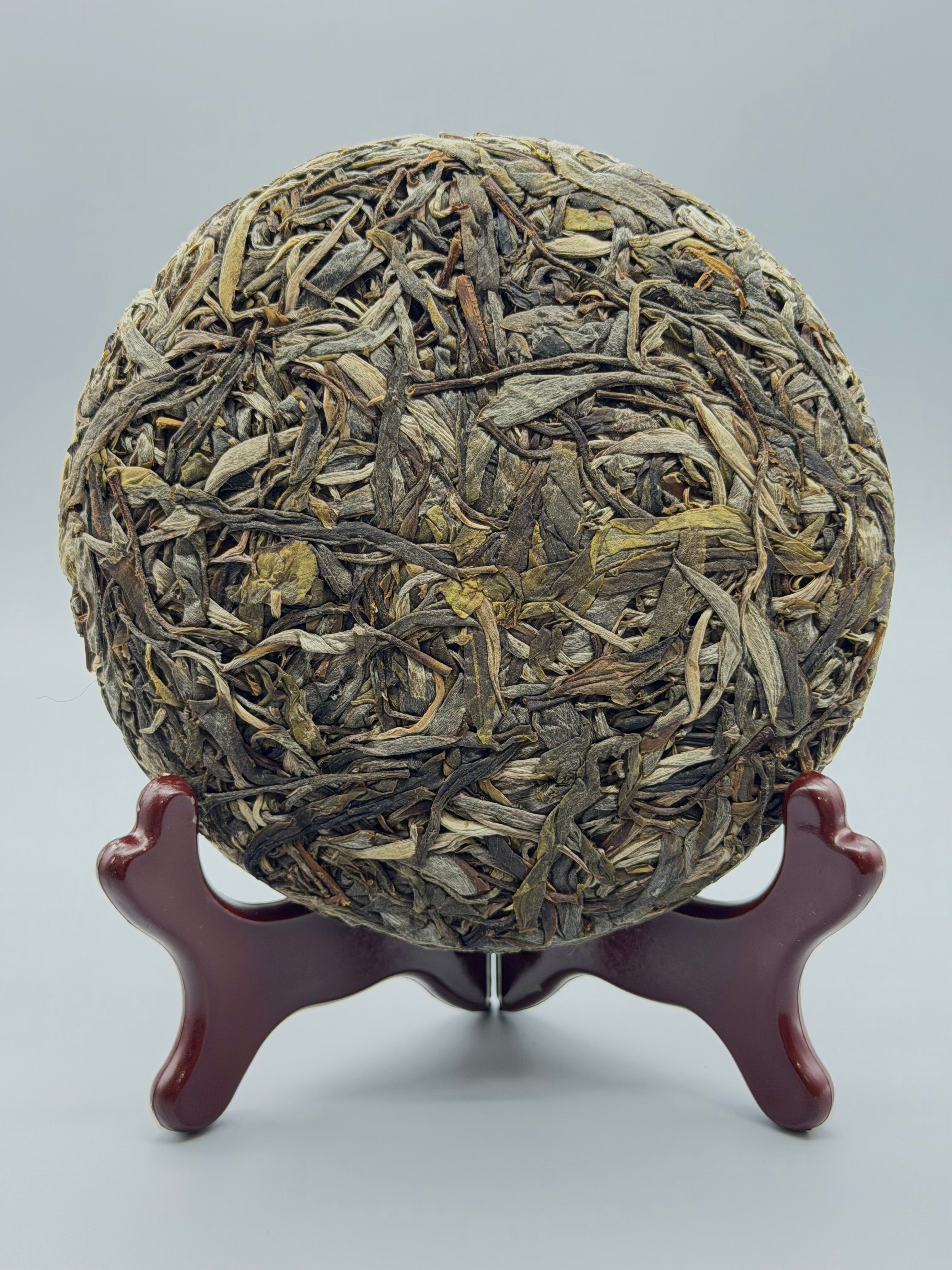 Single Tree Raw Gushu Puerh Y Tý, Spring 2025