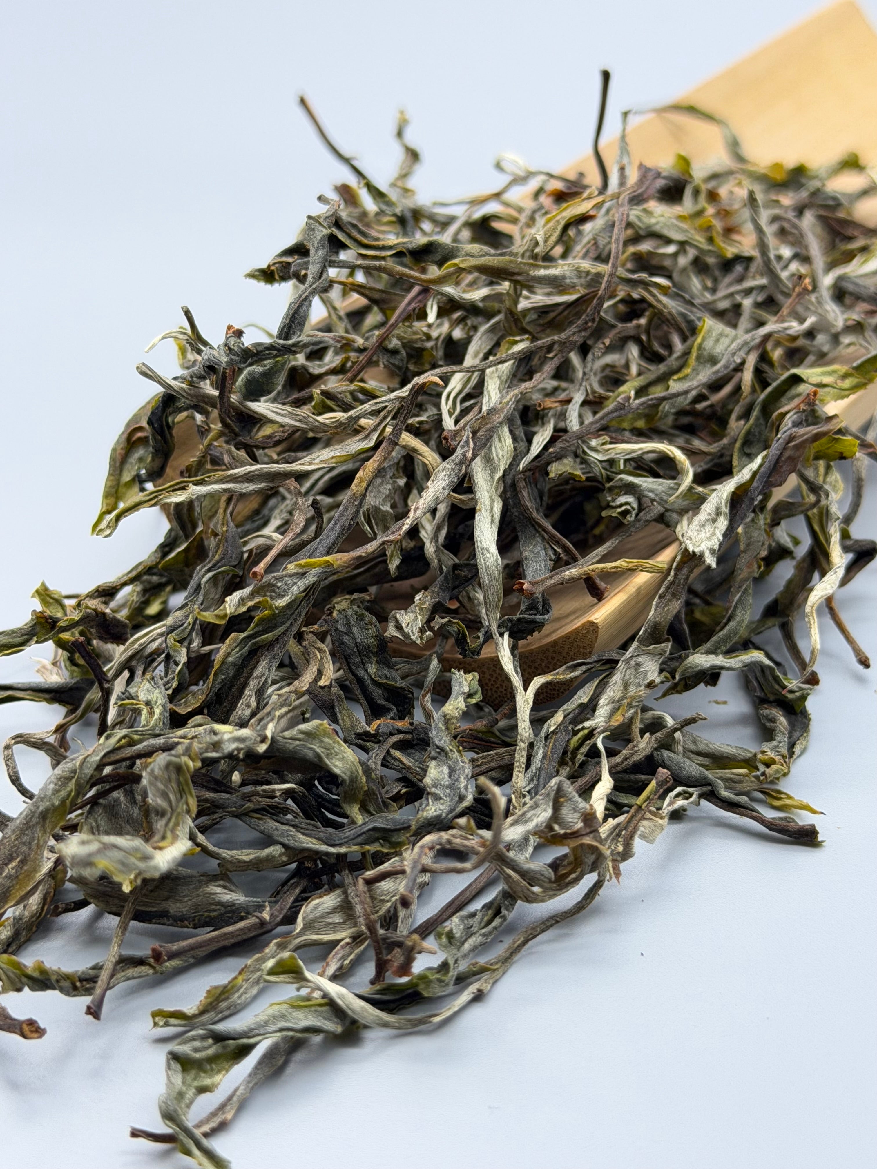 Loose leaf Raw Gushu Puerh Y Tý, Spring 2026, Deep Mountain Sweetness