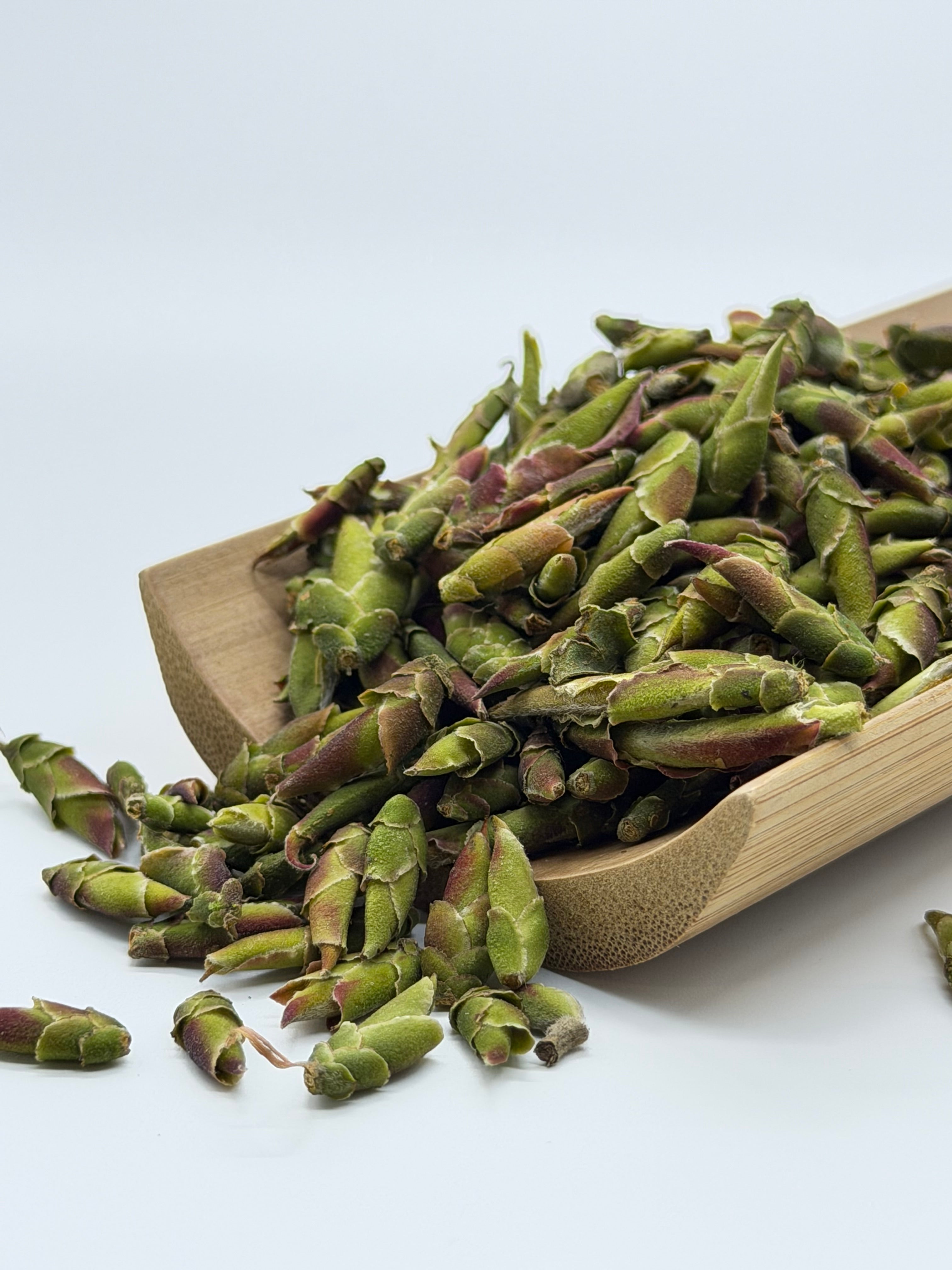 Dragon Claw Tea, Hà Giang, Winter 2026