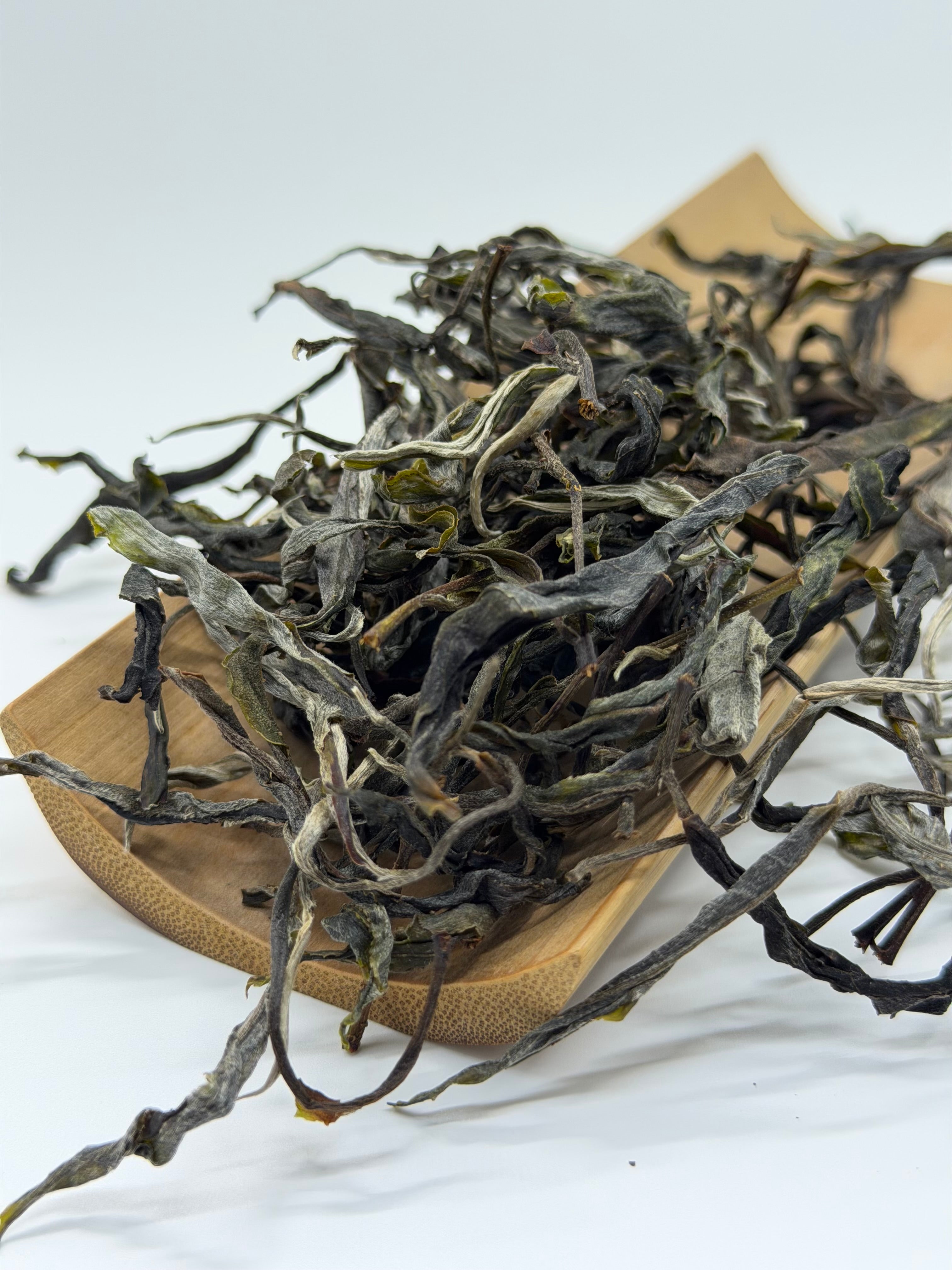 Loose Leaf Raw Gushu Puerh Cao Bồ, Red Zao Village, Spring 2026