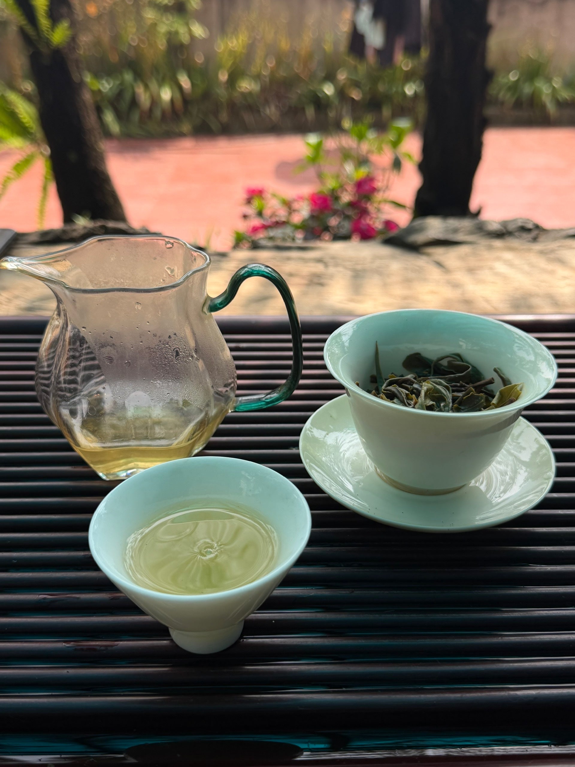Single Tree Raw Gushu Puerh Y Tý, Spring 2025